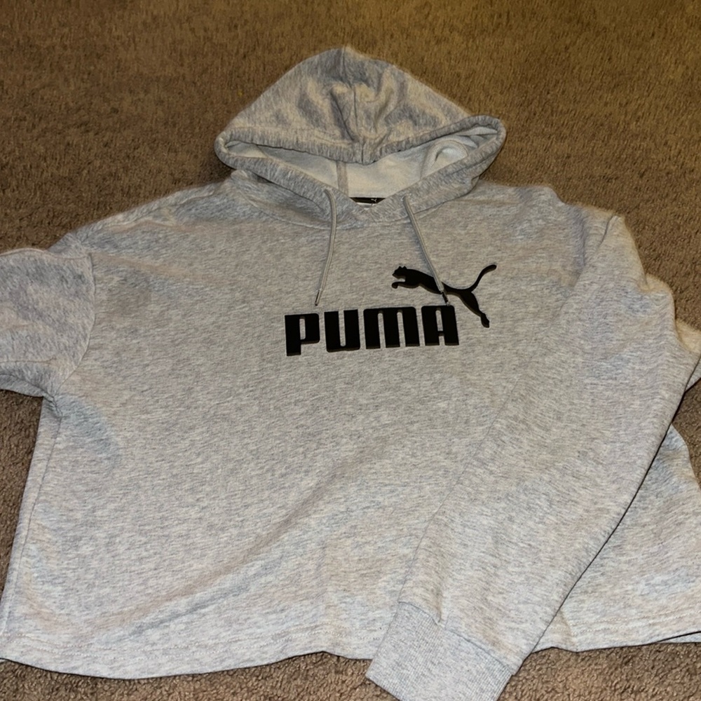 Small Cropped Puma Hoodie